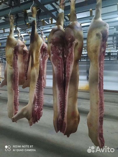 Свинина полутуши