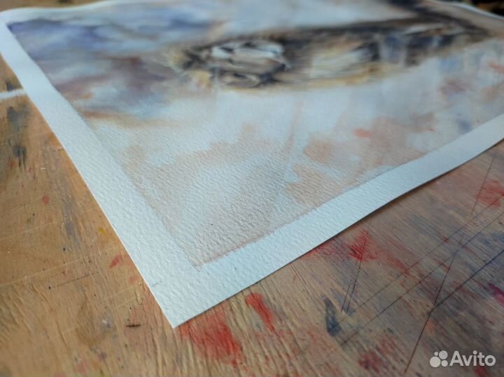 Картина лев в лучах солнца