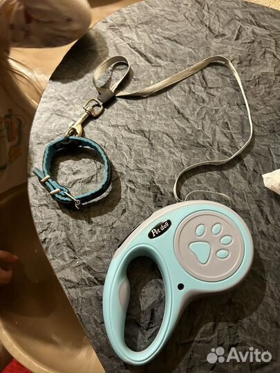 Ошейник и поводок для собаки