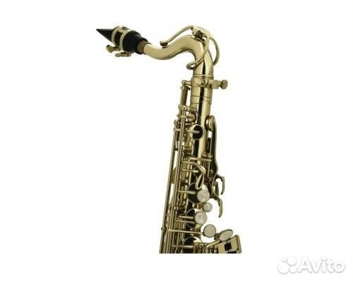 Roy Benson AS-201, Eb альт-саксофон (детский)