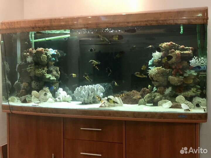 Аквариум с тумбой jebo