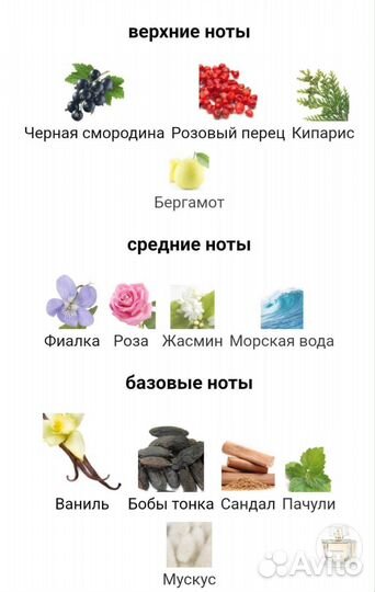 Tentation Eisenberg, парфюмерная вода