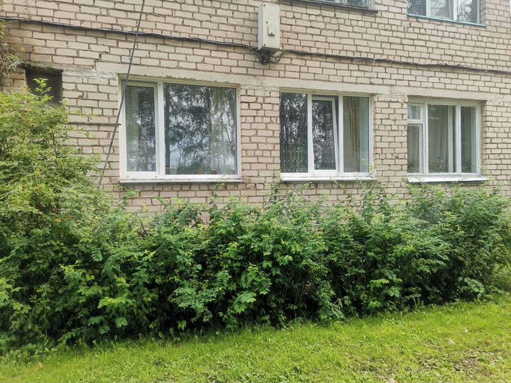 2-к. квартира, 43 м², 1/2 эт.