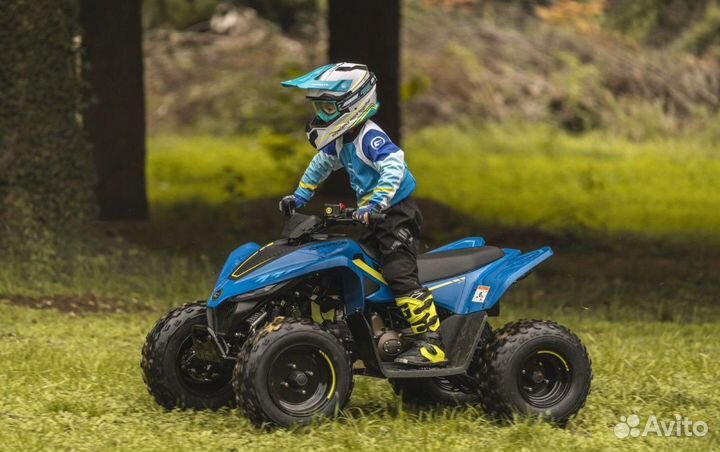 Квадроцикл детский cfmoto cforce 110 EFI