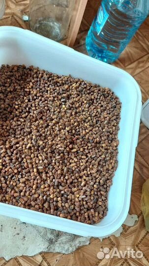 Гречишный, липовый мёд, перга 2023