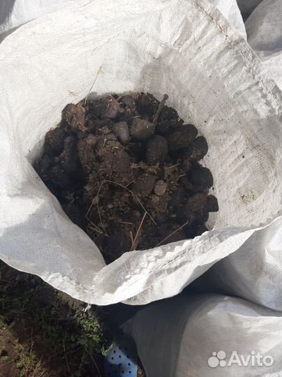 Конский навоз