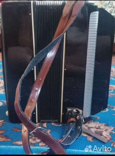 Баян,Беларусь