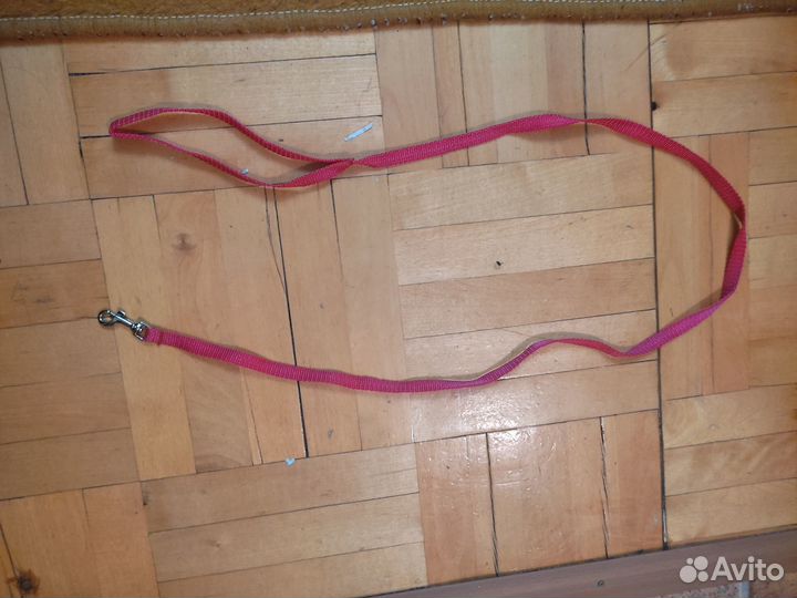 Ошейник /поводок/одежда/кольцо