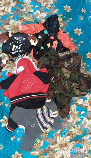 Одежда для мелких собак