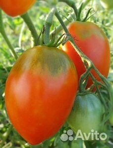 Фермерские продукты