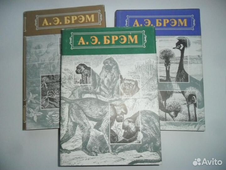 Энциклопедический словарь Брокгауза и Ефрона