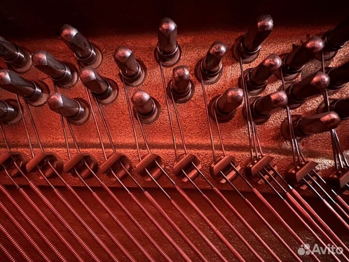 Фортепиано Alexander Herrmann