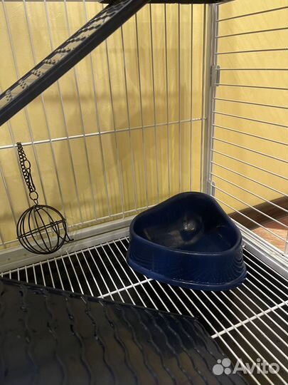 Клетка для шиншиллы с аксессуарами