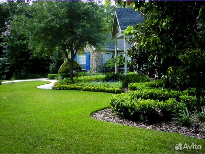 Рулонный газон под ключ Элитный