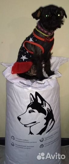 Корм для мелких пород индейка с рисом