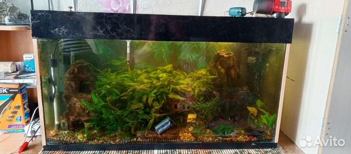 Аквариум с рыбками