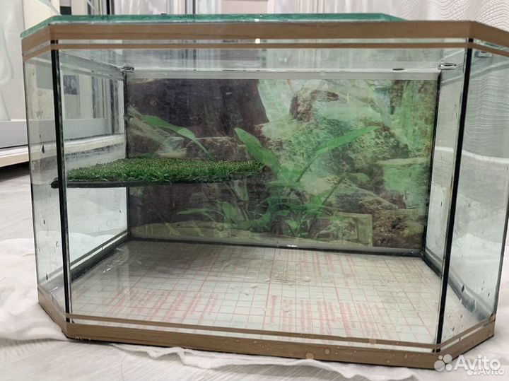 Аквариум для черепах