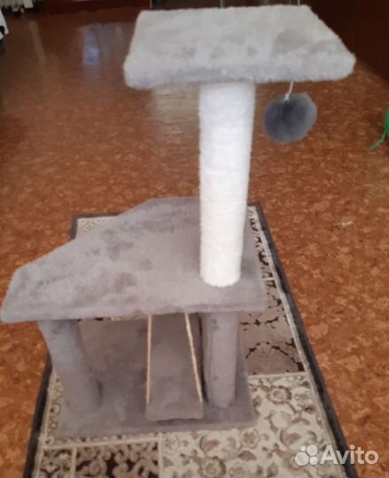 Когтеточка