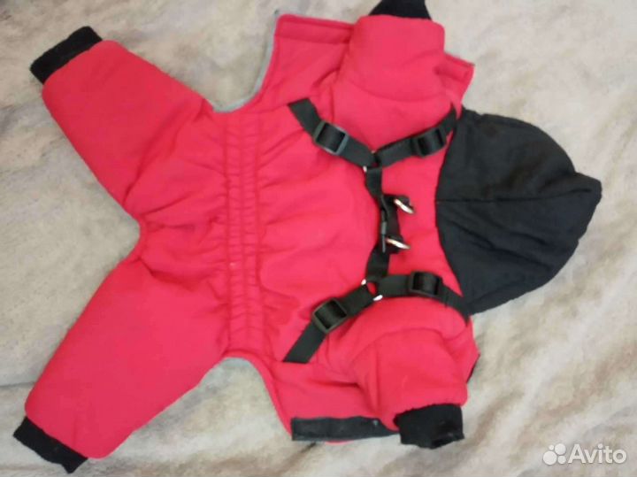 Одежда для собак