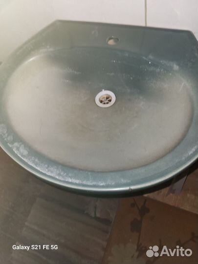 Раковина тюльпан