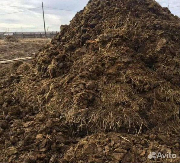Навоз перегной бесплатно