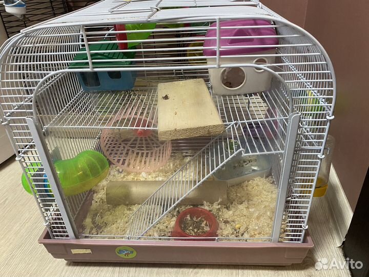 Хомяк джунгарский,Клетка,лабиринт, ванна с песком