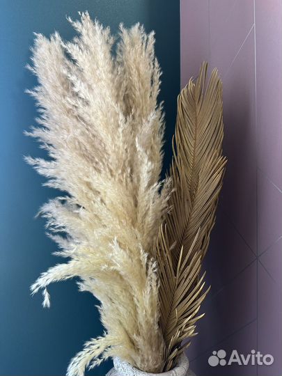 Пампасная трава и пальма