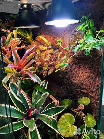 Террариум на заказ