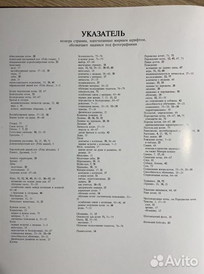 Книга животные энциклопедия