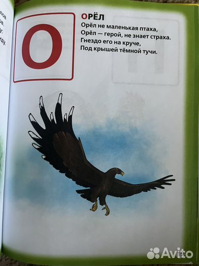 Азбука Букварь