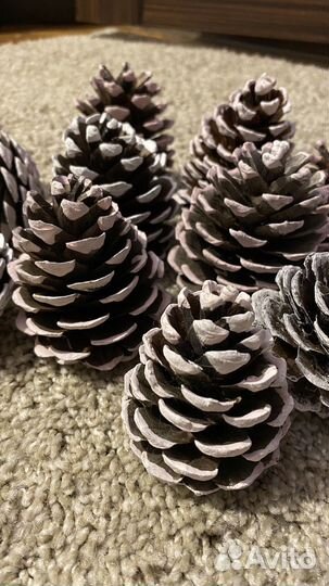 Набор для творчества шишка пидцунской сосны