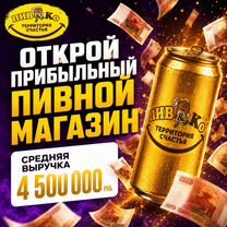 Готовый бизнес. Пивной магазин по франшизе пивко, Петропавловск