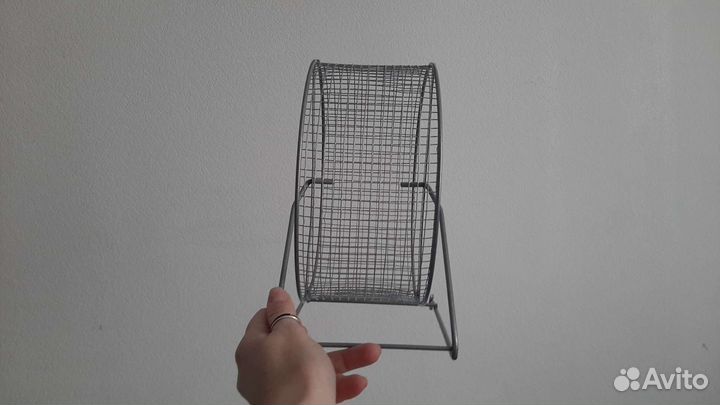 Животные грызуны