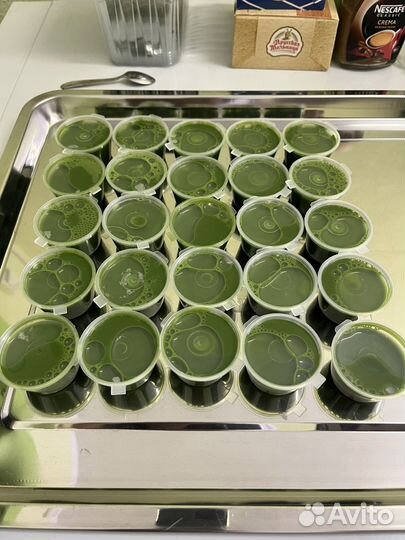 Витграсс Калининград