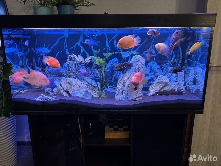 Аквариум с тумбой 450 литров