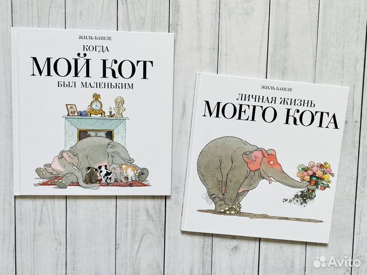 Мой кот (Мелик-Пашаев)