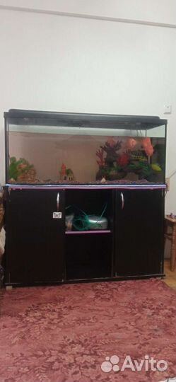 Аквариум 220 литров