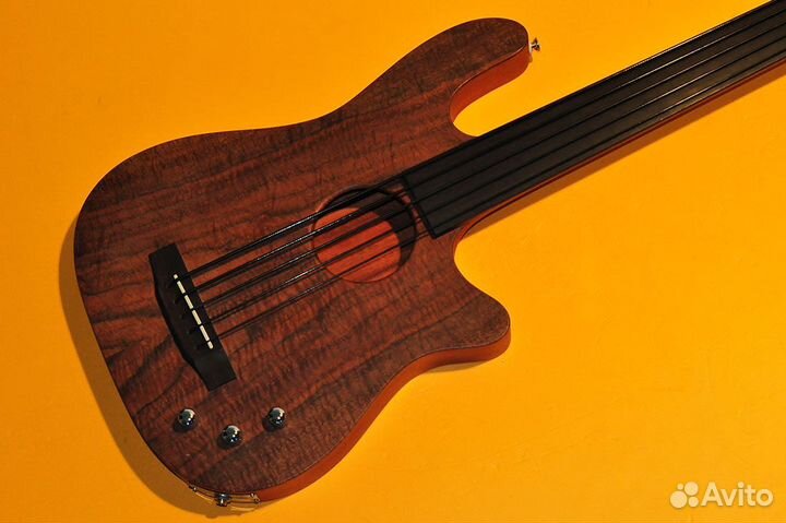 Carvin AB-50 Fretless 5 String Acoustic Electric