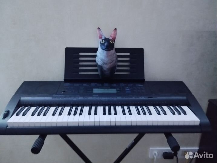 Синтезатор Casio CTK-5000