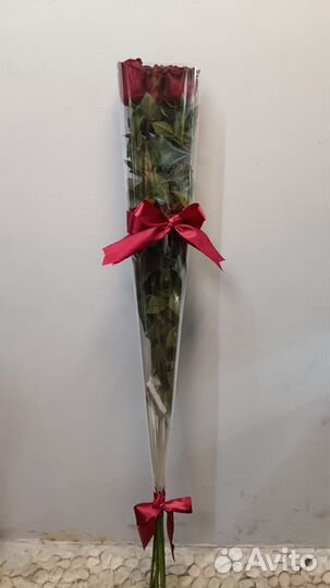 Большие Розы Метровые Москва