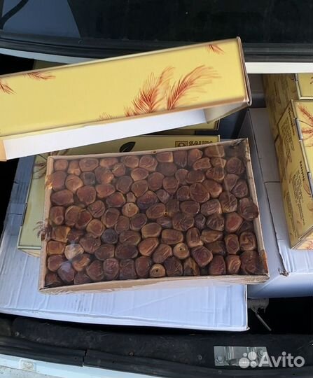 Финики суккари 3к