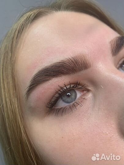 Мастер бровист