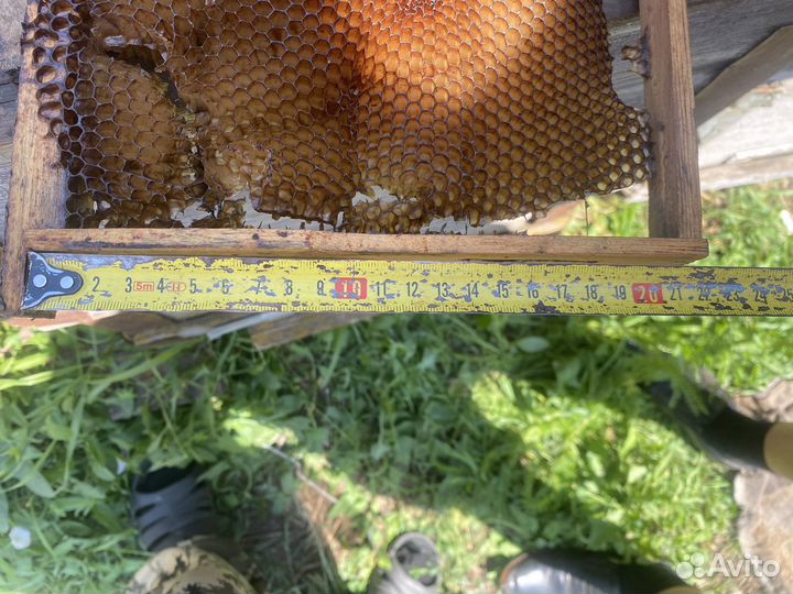 Продам ульи для пчел