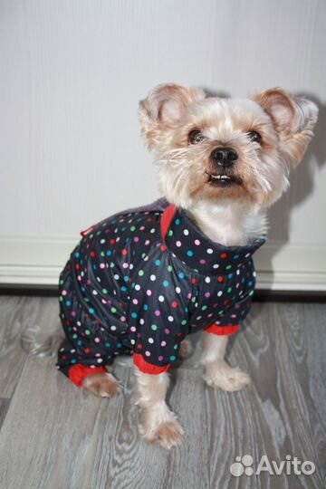 Комбинезон зимний для собак