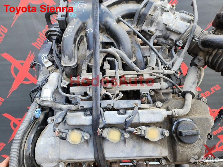 Двигатель 3MZ-FE Toyota Sienna