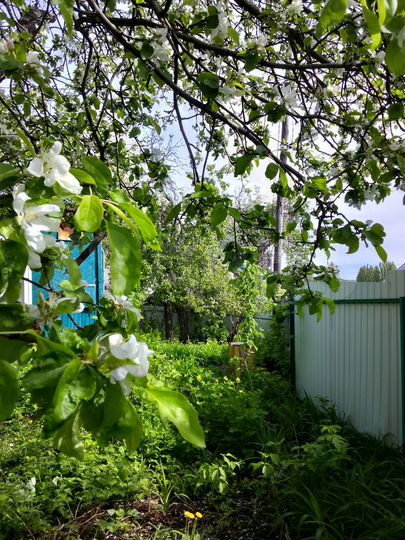 Участок 4,6 сот. (ИЖС)