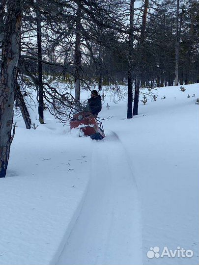 Буран короткий