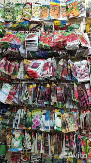 Семена овощей