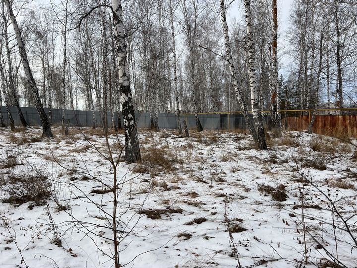 Участок 50 сот. (ИЖС)