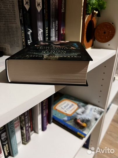 Охота на джека потрошителя. Охота на князя Дракулу